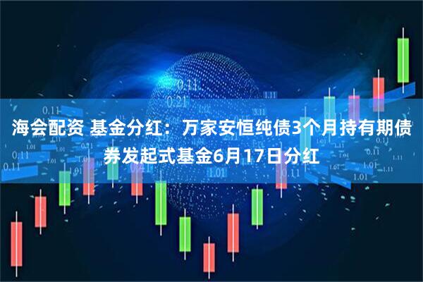 海会配资 基金分红：万家安恒纯债3个月持有期债券发起式基金6月17日分红