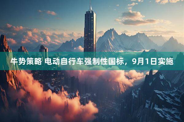 牛势策略 电动自行车强制性国标，9月1日实施