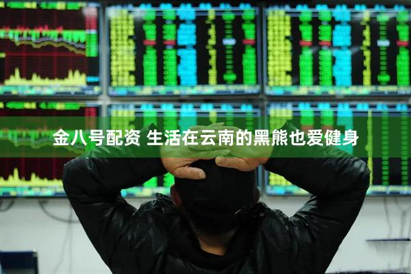 金八号配资 生活在云南的黑熊也爱健身