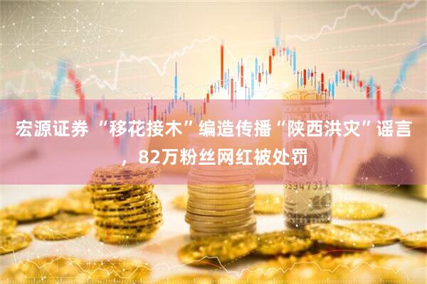 宏源证券 “移花接木”编造传播“陕西洪灾”谣言，82万粉丝网红被处罚