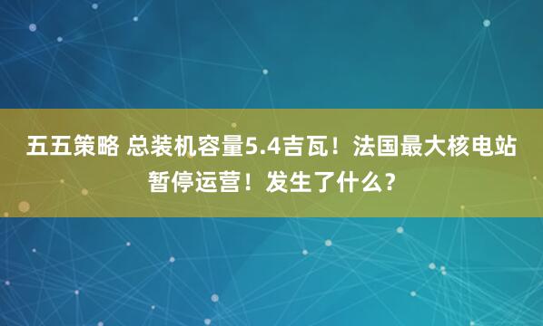 五五策略 总装机容量5.4吉瓦！法国最大核电站暂停运营！发生了什么？