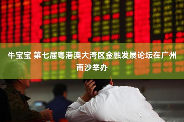 牛宝宝 第七届粤港澳大湾区金融发展论坛在广州南沙举办