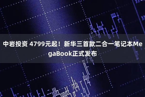 中岩投资 4799元起！新华三首款二合一笔记本MegaBook正式发布